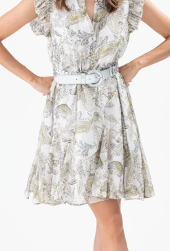 Robe INU