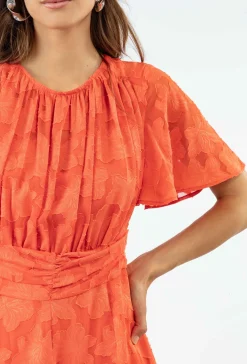 Robe IVY