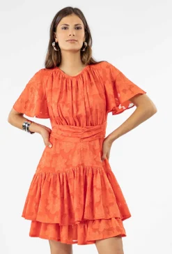 Robe IVY