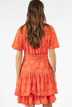 Robe IVY