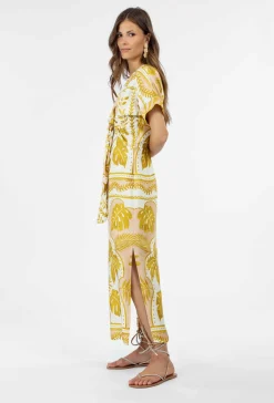 Robe JOY