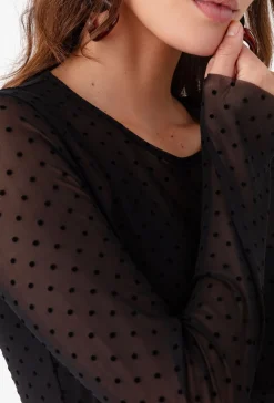 Top ANGEL